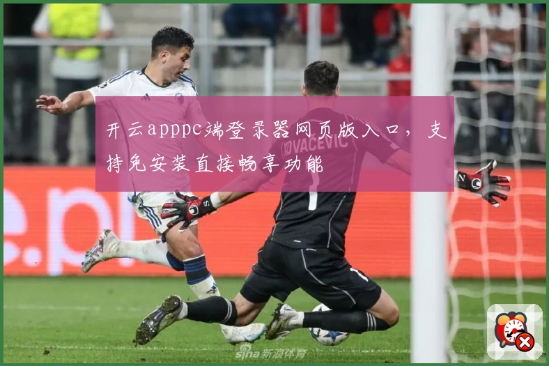 开云apppc端登录器网页版入口，支持免安装直接畅享功能