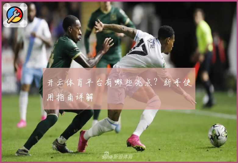 开云体育平台有哪些亮点？新手使用指南详解