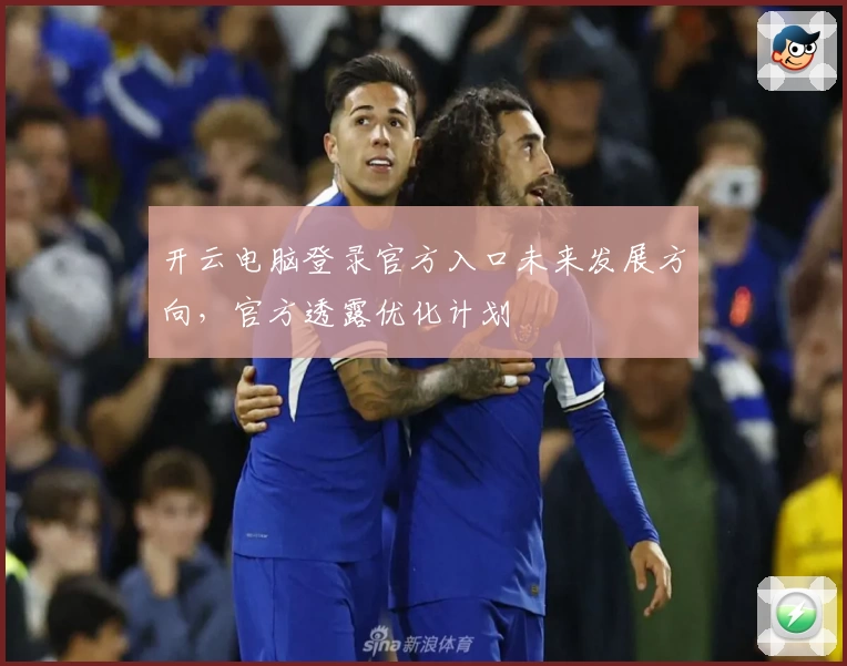 开云电脑登录官方入口未来发展方向，官方透露优化计划