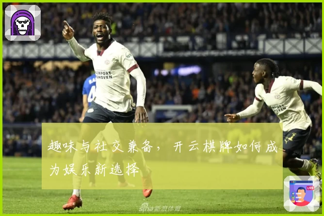 趣味与社交兼备，开云棋牌如何成为娱乐新选择