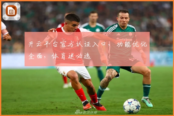 开云平台官方认证入口，功能优化全面，体育迷必选